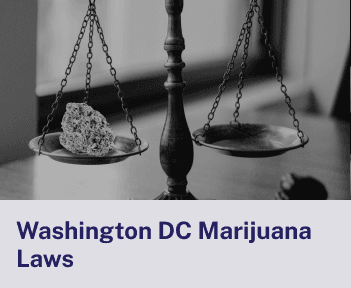 Washington DC Marijuana Laws 