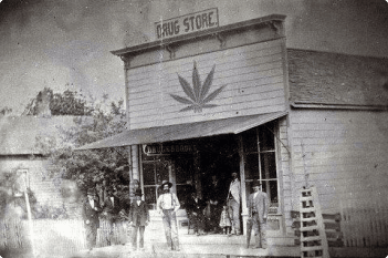 Washington DC cannabis history
