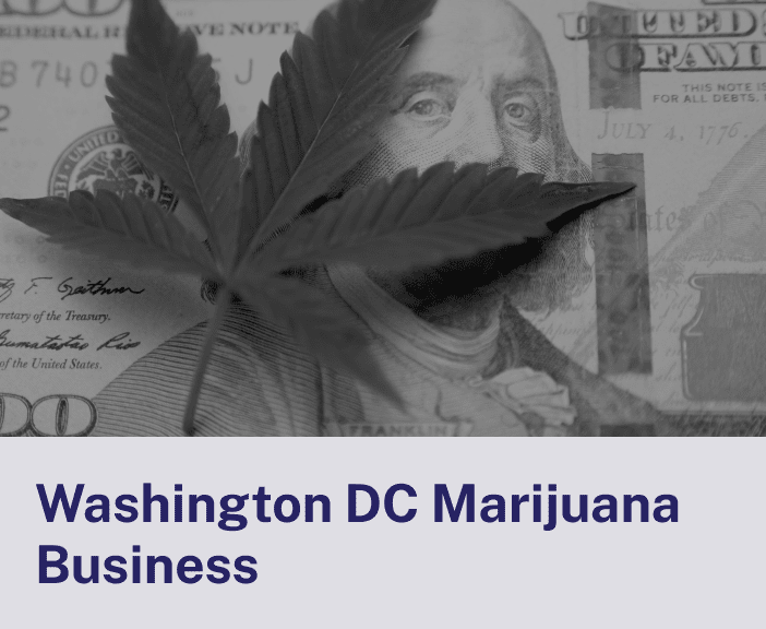 Washington DC Business