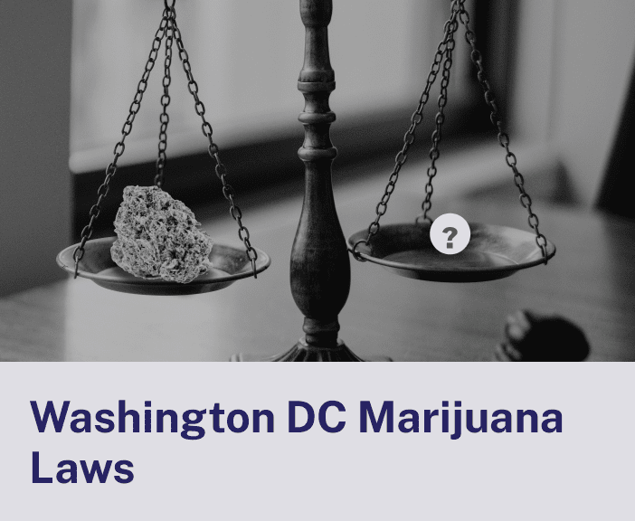 Washington DC Marijuana Laws