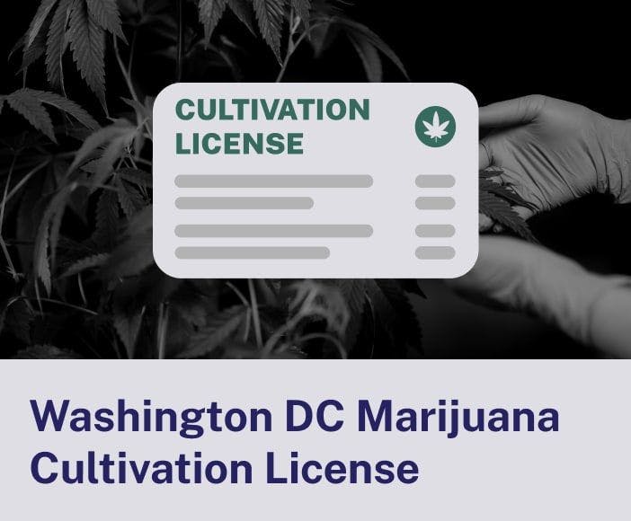 Washington DC Marijuana Cultivation License