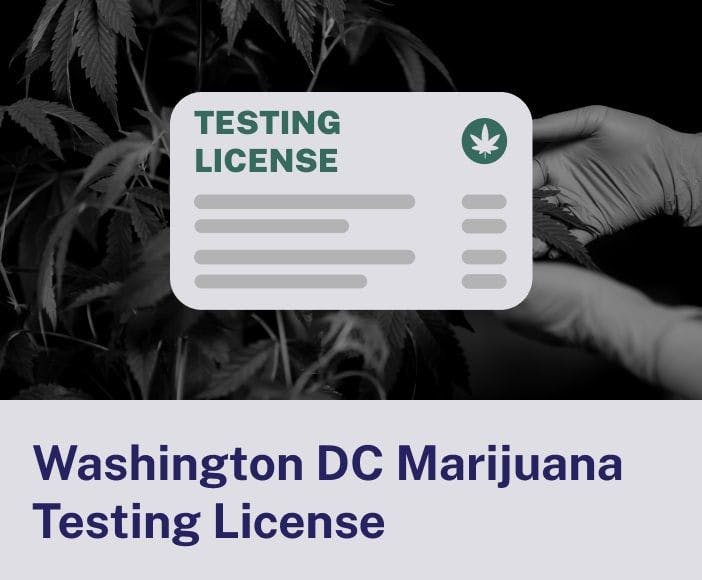 Washington DC Marijuana Testing License