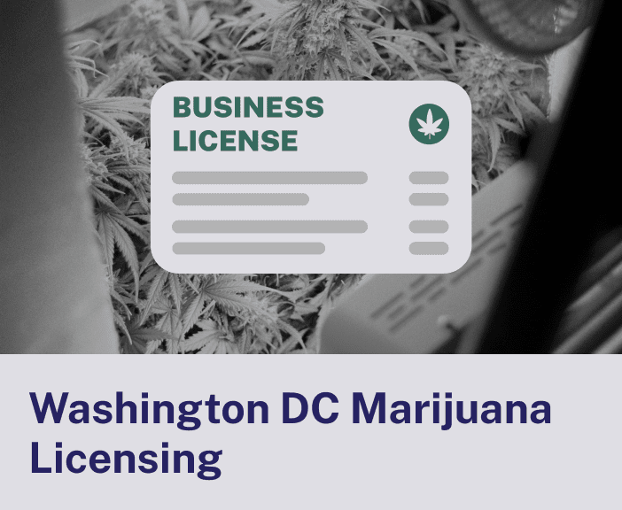 Washington DC Marijuana Licensing