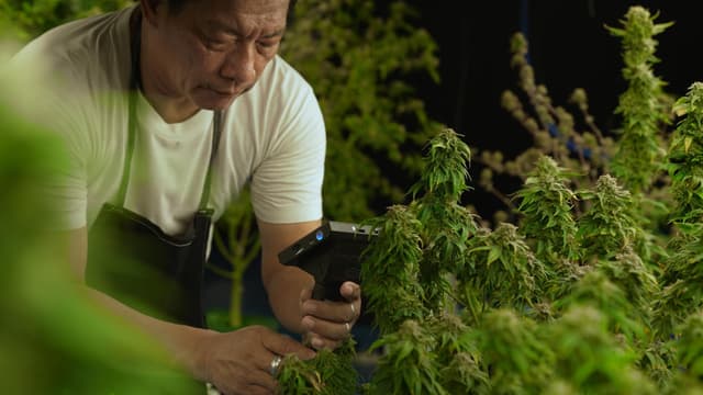 Majority Of D.C. Voters Support.jpg