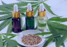 Washington D.C. Active Medical Marijuana Patients in 2025.png